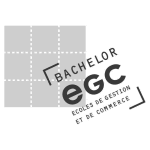 Préparation online Bachelor EGC